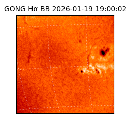gong - 2026-01-19T19:00:02
