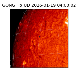 gong - 2026-01-19T04:00:02