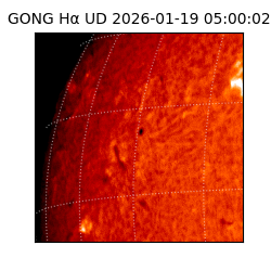gong - 2026-01-19T05:00:02