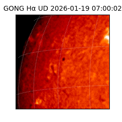gong - 2026-01-19T07:00:02