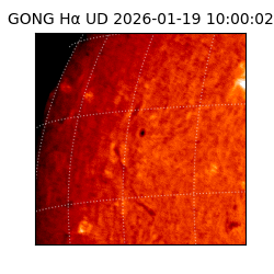 gong - 2026-01-19T10:00:02