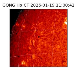 gong - 2026-01-19T11:00:42