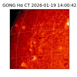 gong - 2026-01-19T14:00:42