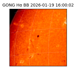 gong - 2026-01-19T16:00:02