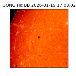 gong - 2026-01-19T17:03:02