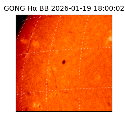 gong - 2026-01-19T18:00:02