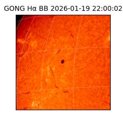 gong - 2026-01-19T22:00:02