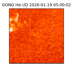 gong - 2026-01-19T05:00:02