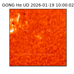 gong - 2026-01-19T10:00:02