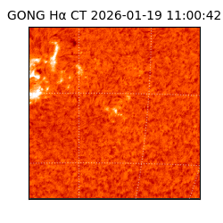 gong - 2026-01-19T11:00:42