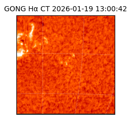 gong - 2026-01-19T13:00:42