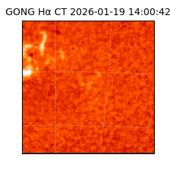 gong - 2026-01-19T14:00:42
