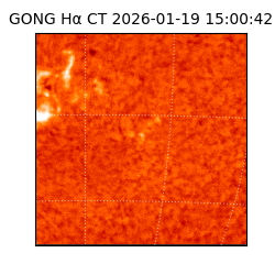 gong - 2026-01-19T15:00:42