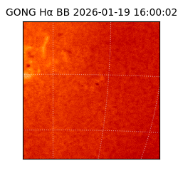 gong - 2026-01-19T16:00:02