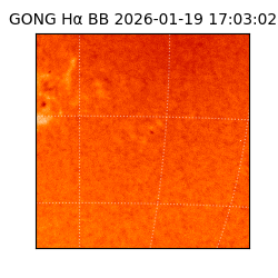 gong - 2026-01-19T17:03:02