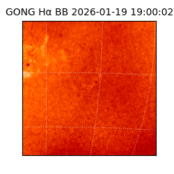 gong - 2026-01-19T19:00:02
