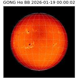 gong - 2026-01-19T00:00:02