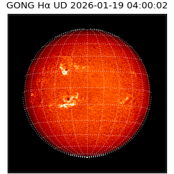 gong - 2026-01-19T04:00:02