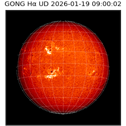 gong - 2026-01-19T09:00:02