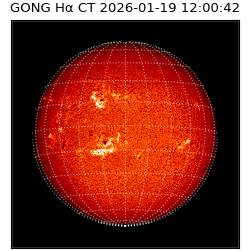gong - 2026-01-19T12:00:42