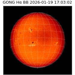 gong - 2026-01-19T17:03:02