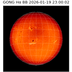 gong - 2026-01-19T23:00:02