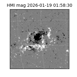 shmi - 2026-01-19T01:58:30