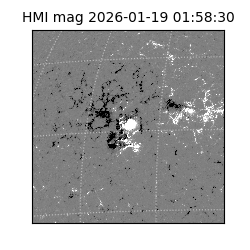 shmi - 2026-01-19T01:58:30