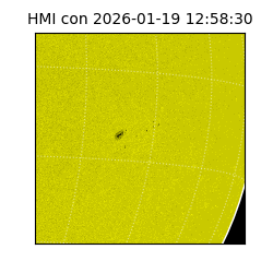 shmi - 2026-01-19T12:58:30