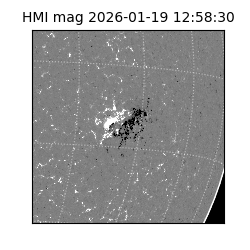 shmi - 2026-01-19T12:58:30