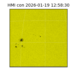 shmi - 2026-01-19T12:58:30