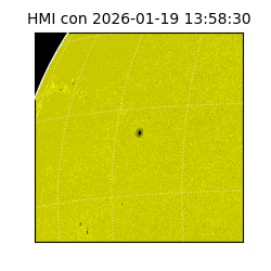 shmi - 2026-01-19T13:58:30