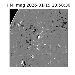 shmi - 2026-01-19T13:58:30