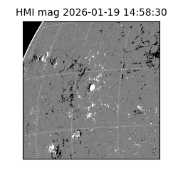 shmi - 2026-01-19T14:58:30