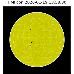 shmi - 2026-01-19T13:58:30