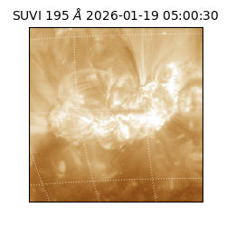 suvi - 2026-01-19T05:00:30.221000