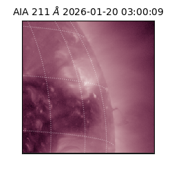 saia - 2026-01-20T03:00:09.629000
