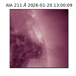 saia - 2026-01-20T13:00:09.626000