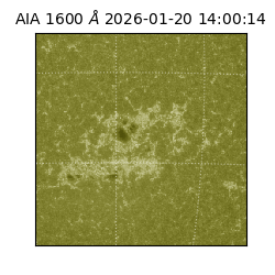 saia - 2026-01-20T14:00:14.125000