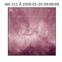 saia - 2026-01-20T09:00:09.633000