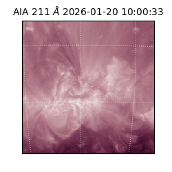 saia - 2026-01-20T10:00:33.631000