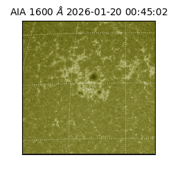 saia - 2026-01-20T00:45:02.129000