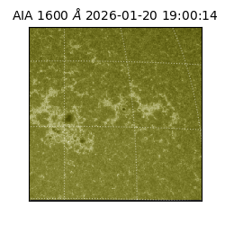saia - 2026-01-20T19:00:14.126000