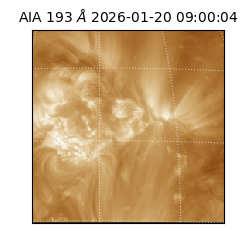 saia - 2026-01-20T09:00:04.843000