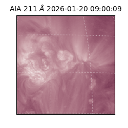 saia - 2026-01-20T09:00:09.633000
