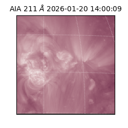 saia - 2026-01-20T14:00:09.626000