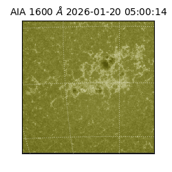saia - 2026-01-20T05:00:14.126000
