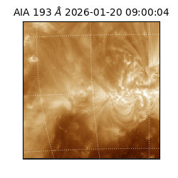 saia - 2026-01-20T09:00:04.843000