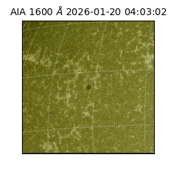 saia - 2026-01-20T04:03:02.126000
