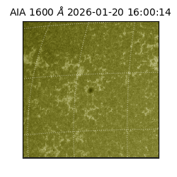 saia - 2026-01-20T16:00:14.129000
